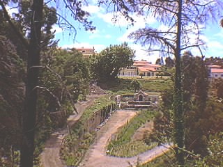 0617_004.jpg (30808 bytes)